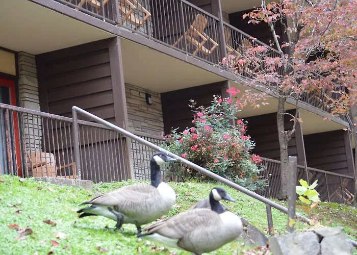 Econo Lodge Inn & Suites On The River