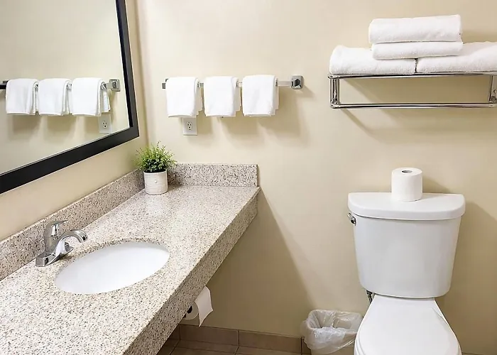 Cobblestone Inn & Suites Steele