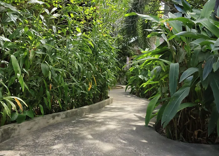 Bird Of Paradise Bungalows