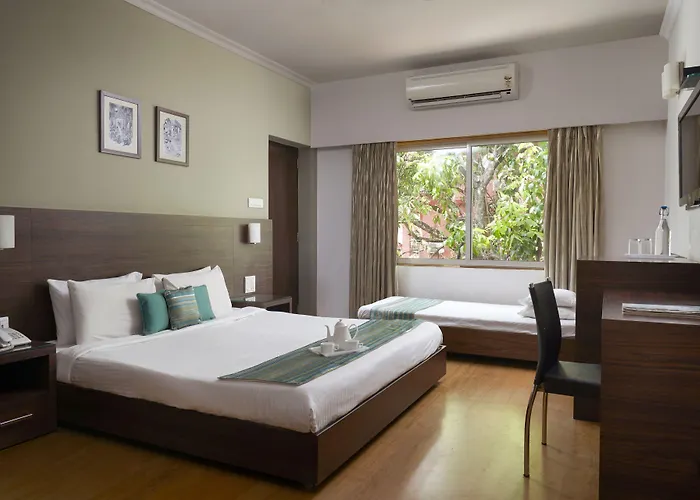 The Hawaii Comforts Panjim Donapaula