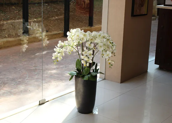 Jounieh Suites Boutique Hotel