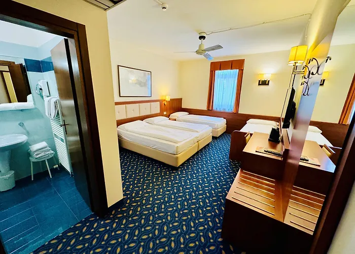 Lake Hotel Benaco