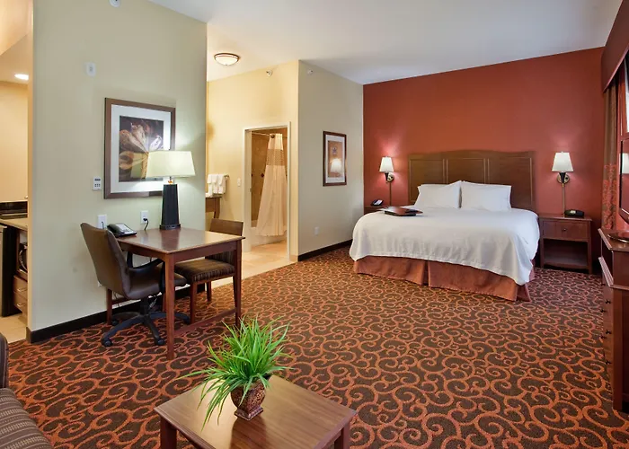 Hampton Inn & Suites Dickinson Nd