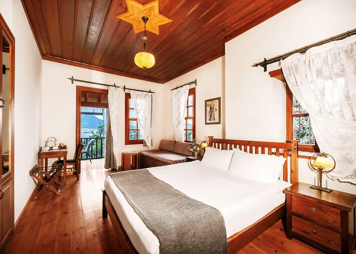 Hotel Villa Turka