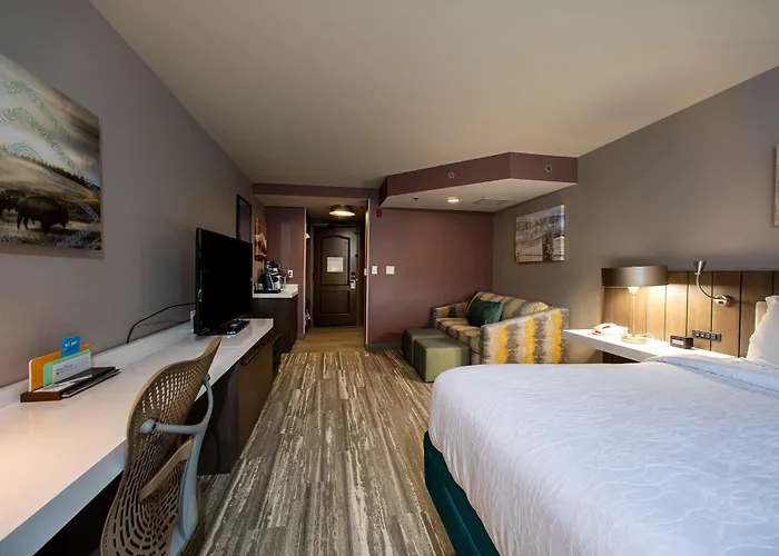 Hilton Garden Inn Rapid City