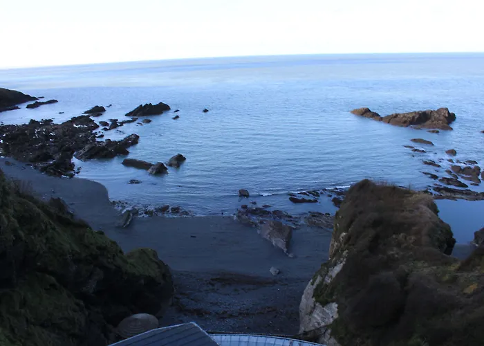 The Olive Branch Bed & Breakfast Ilfracombe