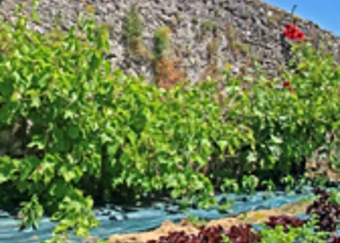 Domaine Le Martinet, The Originals Relais (Relais du Silence)