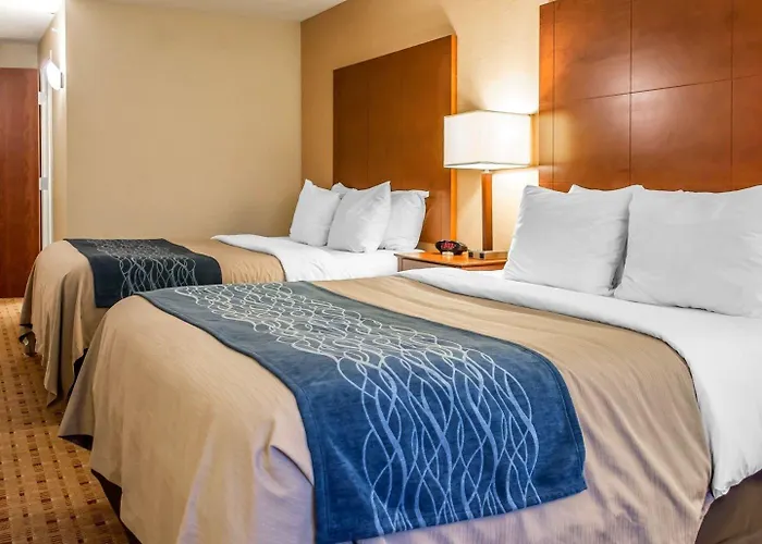 Comfort Inn & Suites Franklin East