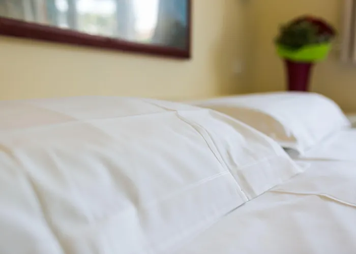 Rex Hotel Residence