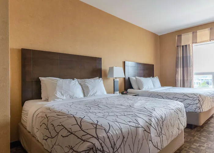 Best Western Plus South Edmonton Inn & Suites