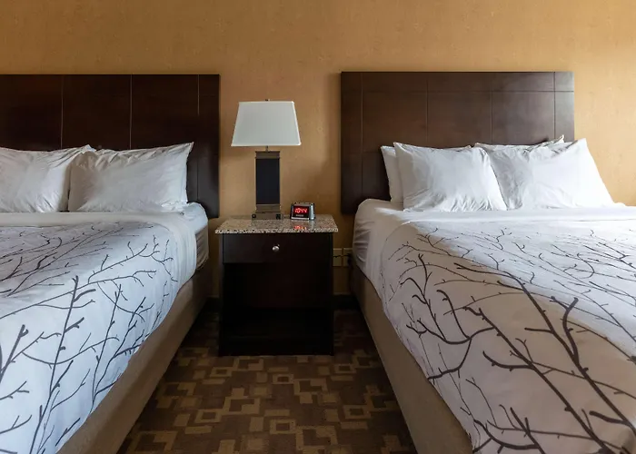 Best Western Plus South Edmonton Inn & Suites