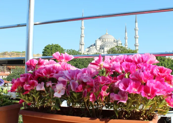 Blue Tuana Hotel Old City Istanbul
