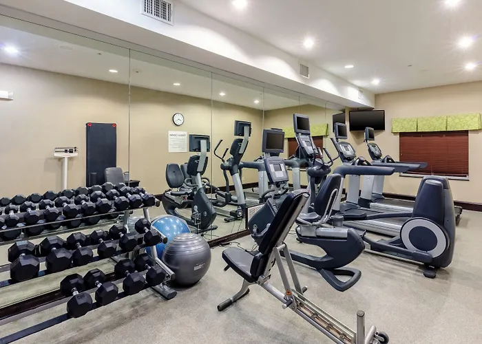 Holiday Inn Express Hotel & Suites Dallas West By Ihg