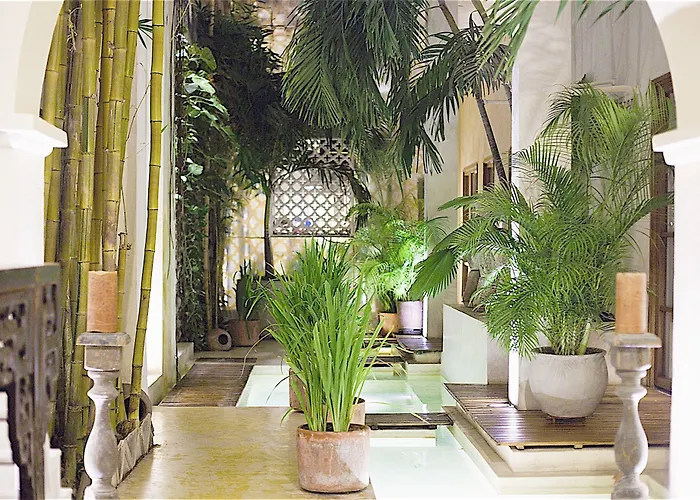 Hotel Casa Lola Deluxe Gallery