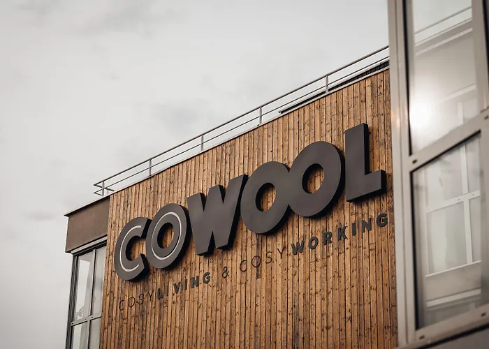 Cowool Cergy