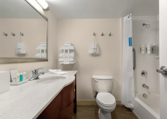 Hampton Inn Belmont At Montcross