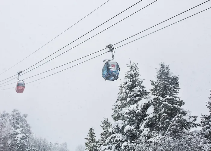 Hotel Magic Ski By Nexta
