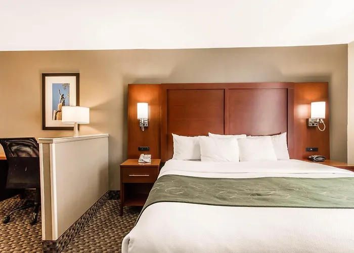 Comfort Suites Tuscaloosa Near University