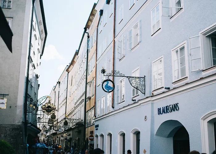 Arthotel Blaue Gans