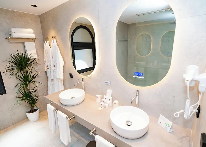 Hotel Spa Termes Carlemany