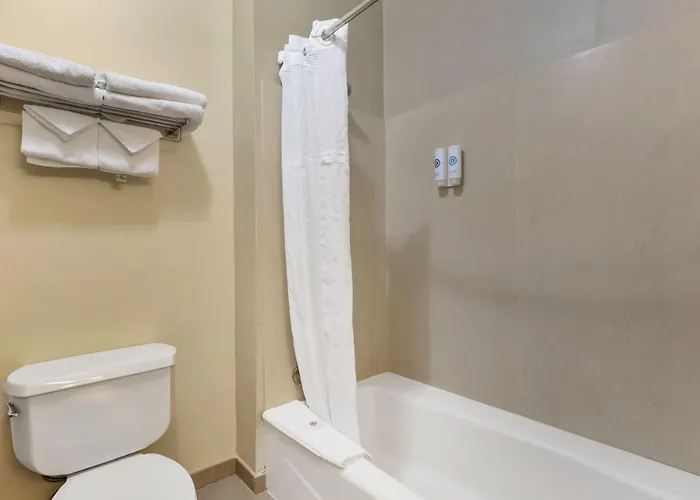 Comfort Inn & Suites Rapid City South - Mt Rushmore Gateway