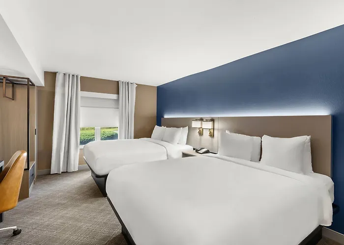 Comfort Inn & Suites Rome South
