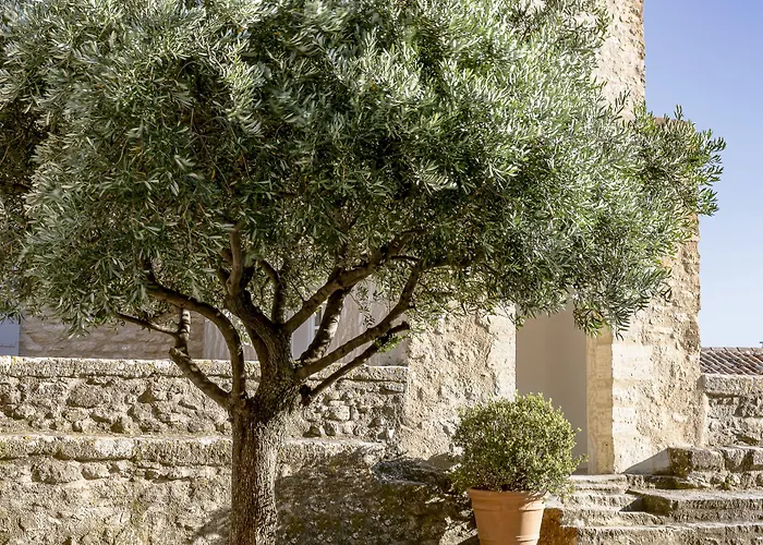 Hotel Crillon le Brave