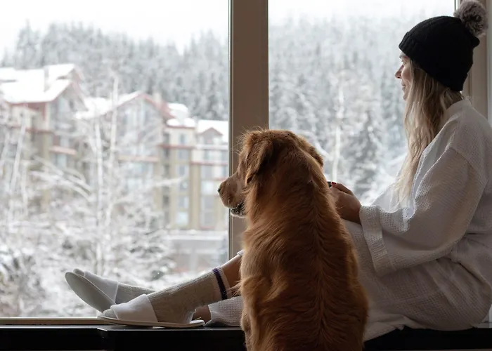 Aava Whistler Hotel