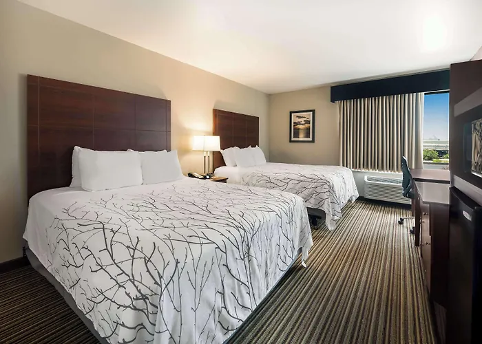 Best Western Park Oasis Inn