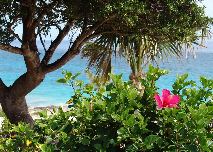 Coco Reef Bermuda