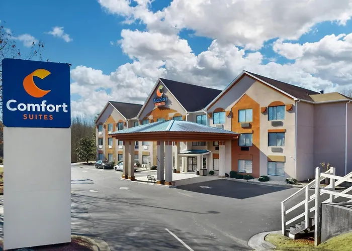 Comfort Suites Northside Hospital Gwinnett