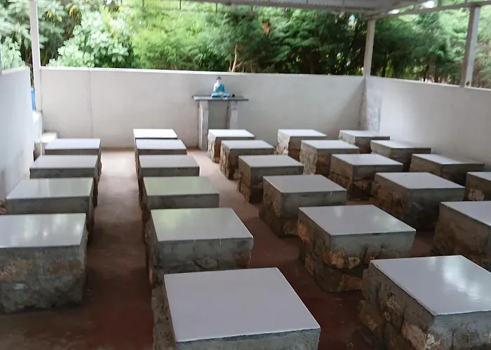 Satya Anand Pure Veg And Non Alcoholic Cottage