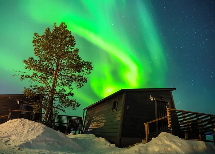 Aurora Collection
