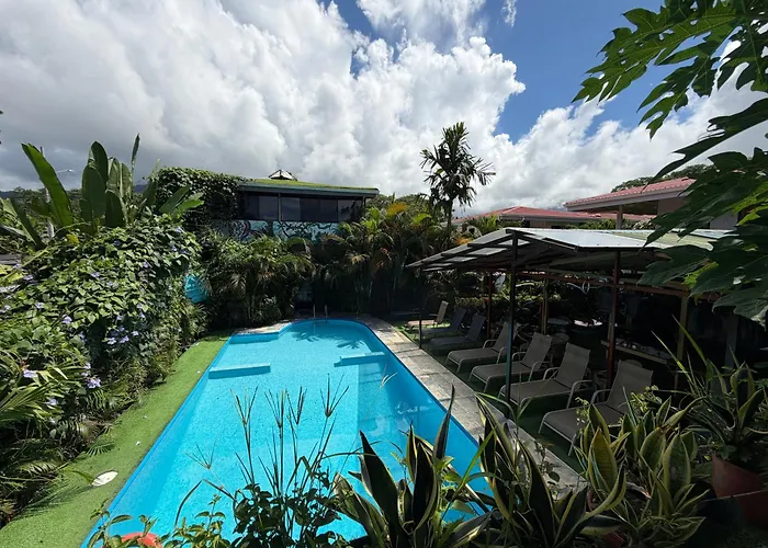 Ballena Rey Hotel