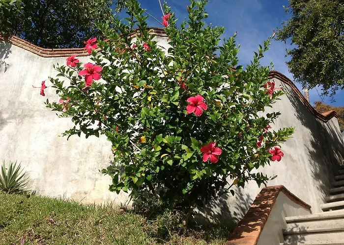 Casa Flor De Mar