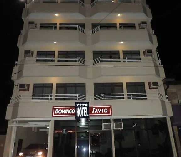 Hotel Domingo Savio