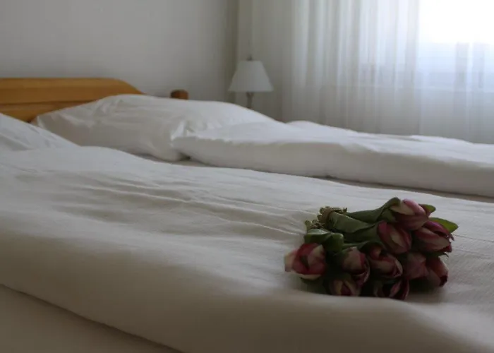 Hotel Weile