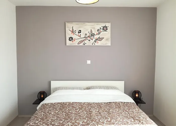 Guest House Dragic - Anex
