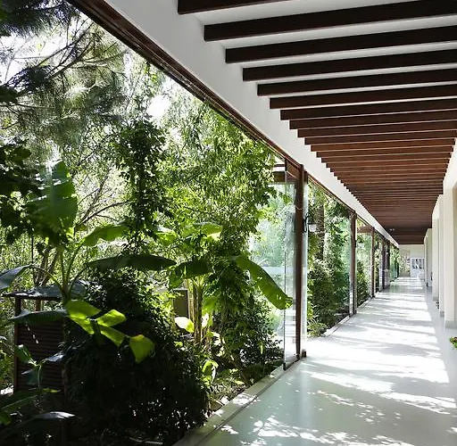 The LifeCo Bodrum Well-Being Detox Center&Vegan Hotel