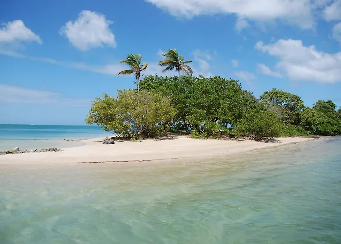 Buccoo Reef View