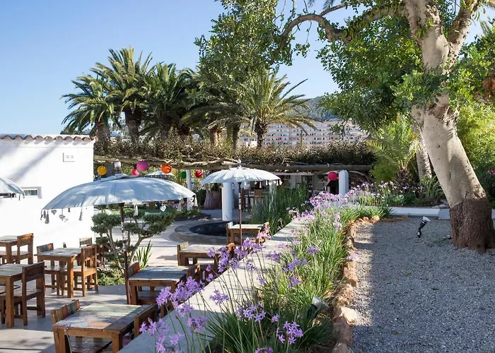 Ibizazen