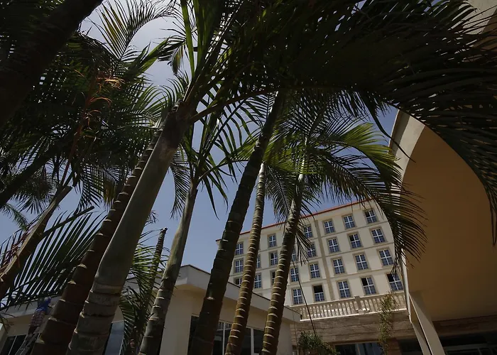 Palm Camayenne