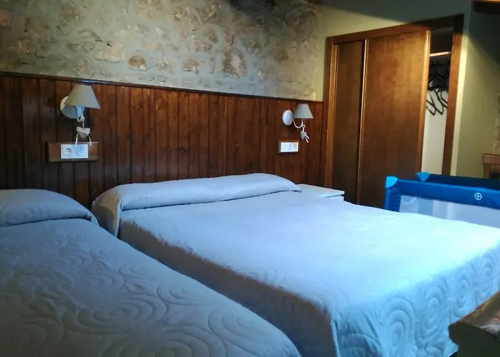 Hotel Y Apartamentos El Camin