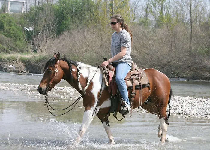Cowboys Guest Ranch