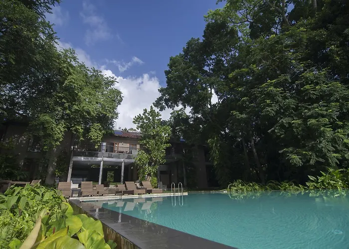 Roman Lake Ayurveda Boutique Resort - Level 1 Certified