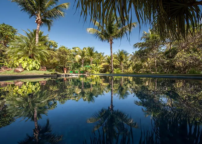 Toca Da Coruja - Eco Luxury Retreat