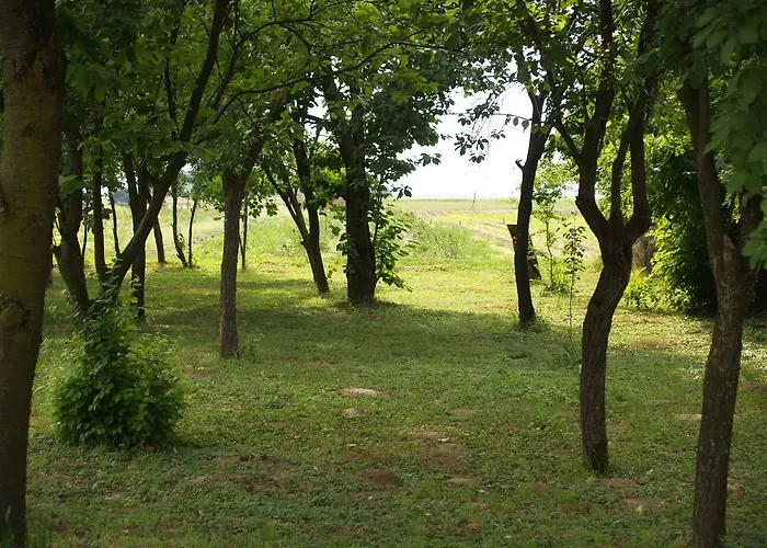 Pannonia Terranova
