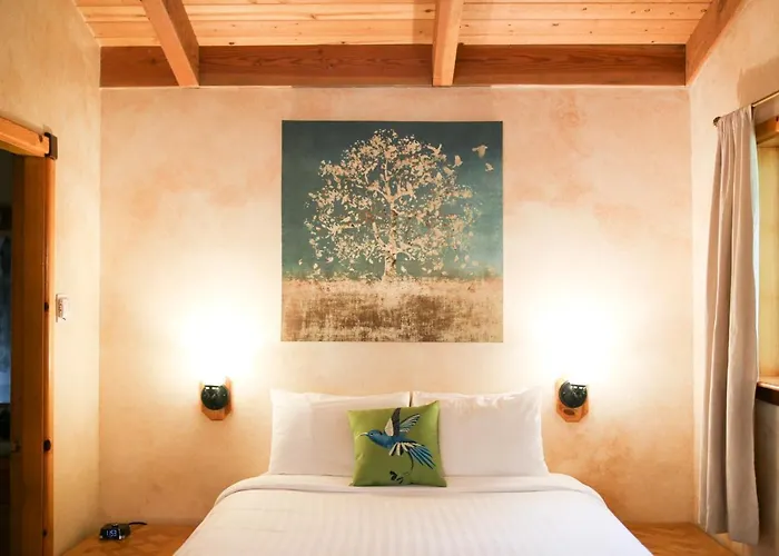 Buckeye Tree Lodge