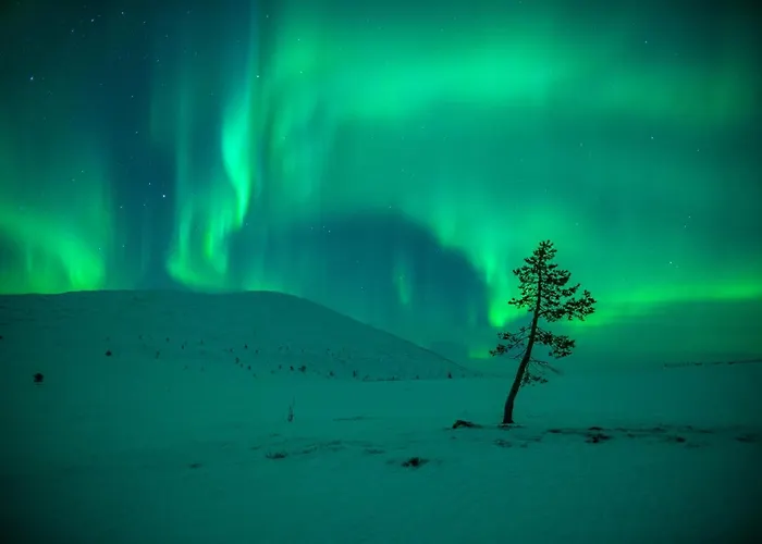Harriniva Adventure Resort