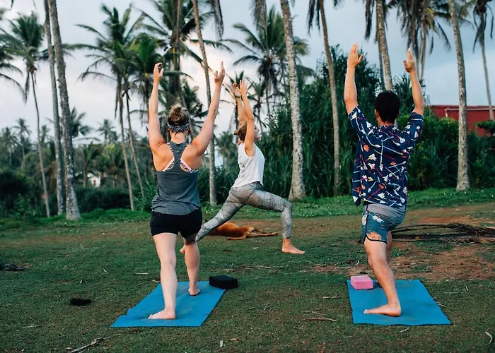 Surf & Yoga Sri Lanka - Surf Camp And Yoga Retreat With Coworking Space
